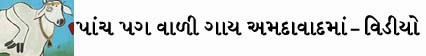 rushikshahsmall.jpg