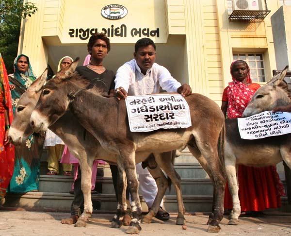 Donkey Office