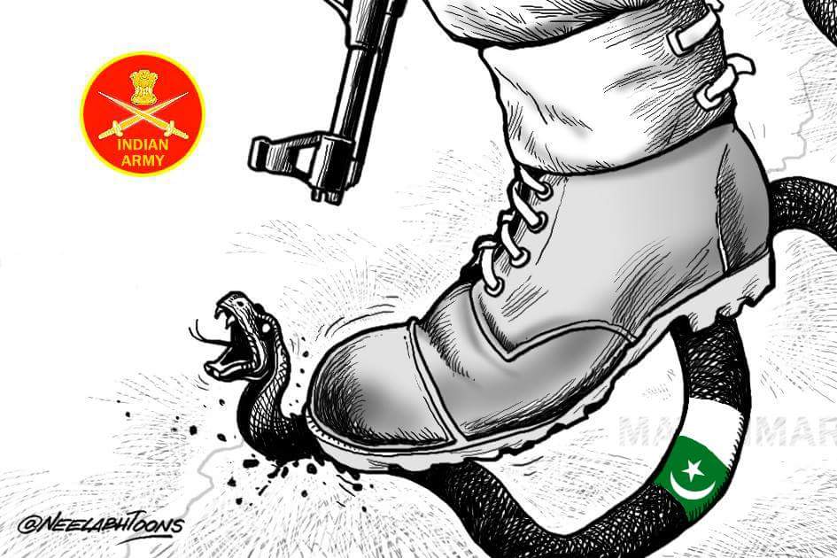 IAF air strike in Pakistan: Cartoonists cheer action on Balakot