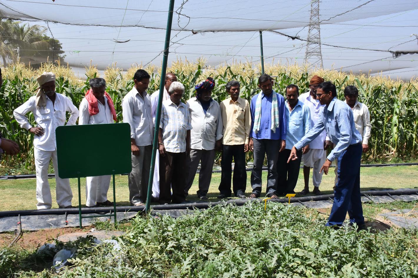 Reliance Industries Plasticulture Development Centre’s applications