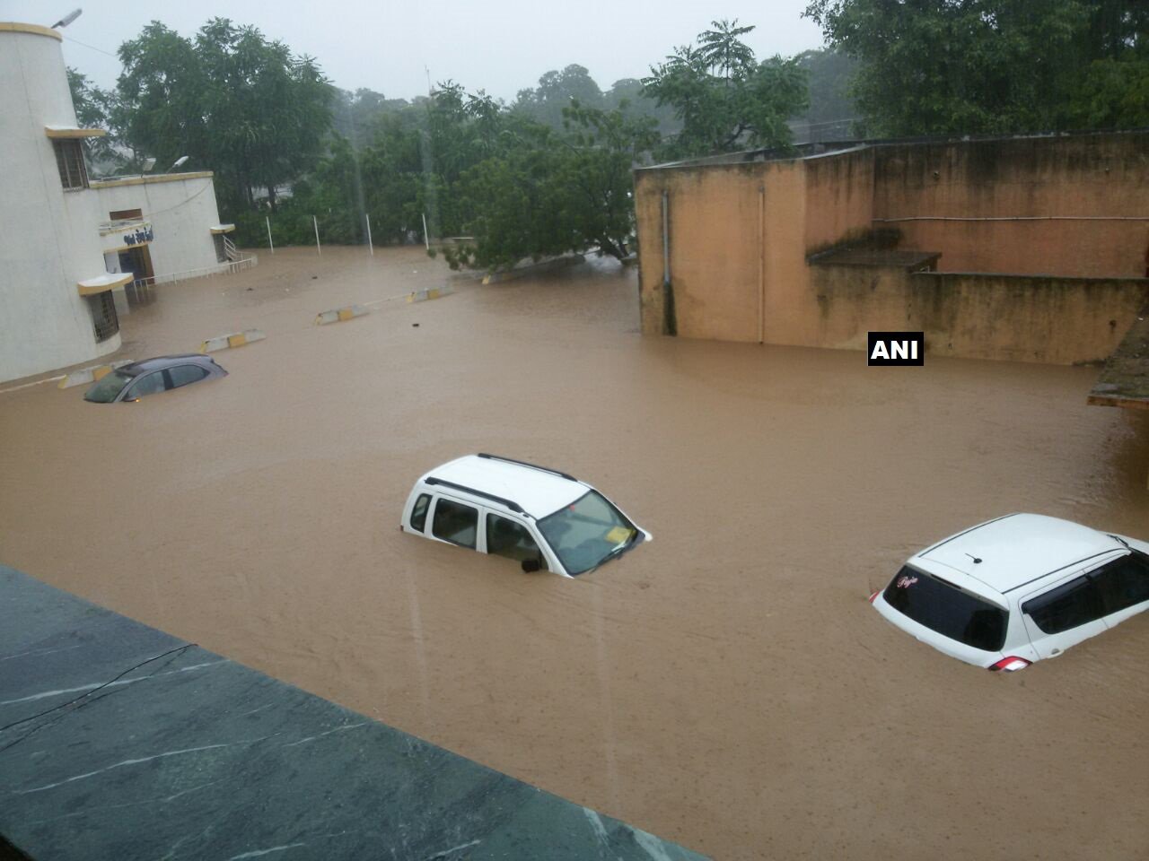 Chennai Gujarati Samaj presents Rs 12 lakh flood relief cheque to Gujarat govt