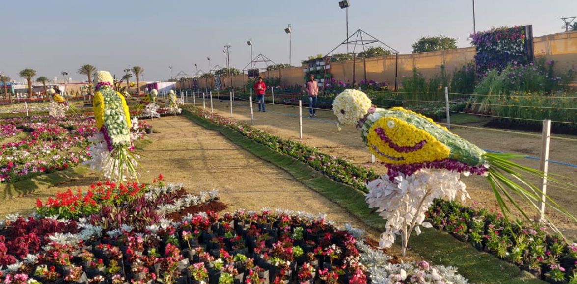 AMC Ahmedabad Flower Show 2024 from Dec 30 to Jan 15