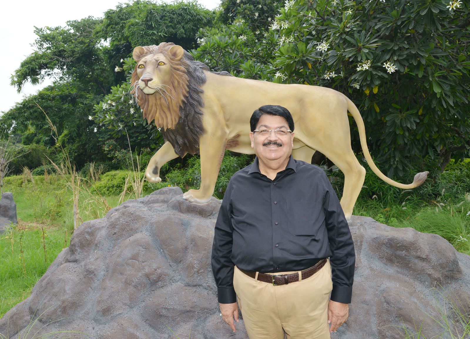 Reliance builds parapets around 1534 open wells in Gir Protected Area for Lion safety